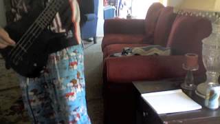 Will Haven-Saga bass cover