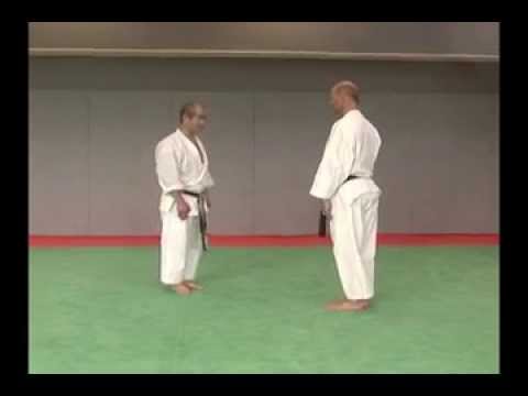 Kihon Kumite 1