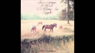 Bill Callahan - Faith/Void