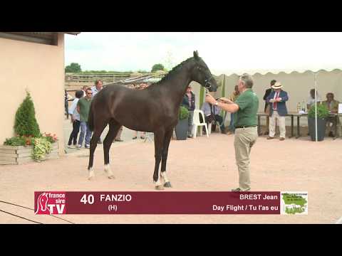 Concours Cercy 2017 - Lot 40 - Fanzio