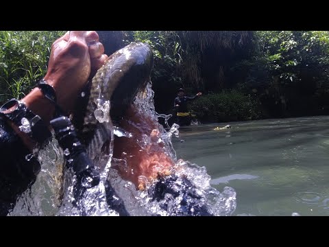 SE02EP031 Part 1 - Ang  UNANG PAKIKIPAG BUNO sa mga KARPA ( Catch & Cook ) San Pablo City, Laguna