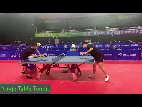 Fan Zhendong, Chen Meng TRAINING