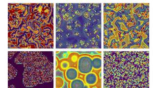 Complex Behavior In Chains Of Nonlinear Oscillators, Figure 6, multimedia-view.