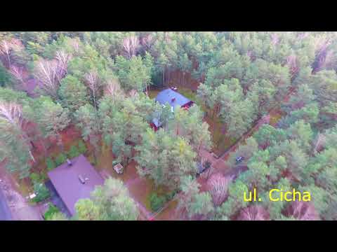 luksusowa rezydencja w lasach Wilgi, mikroklimat