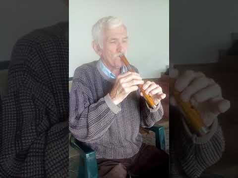 Oj Moravo frula najava za Moravski sabor frule