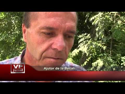 Ajutor de la Becali