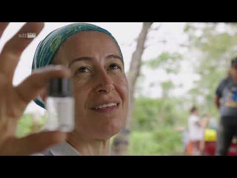 ZDFinfo Doku Die großen Geheimnisse der Maya  Das erste Bauwerk   1/4