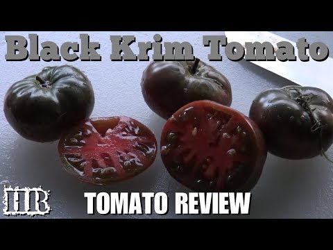 , title : '⟹ Black Krim Tomato | Solanum lycopersicum | Tomato Review'