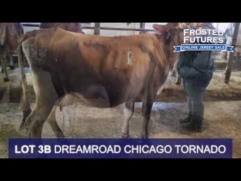 LOT 3B DREAMROAD CHICAGO TORNADO