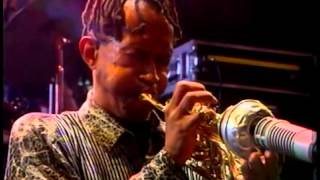 Don Cherry 1991   Walk to the Mountain   YouTube