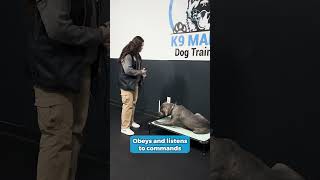 Download lagu Athena's Before and After mp3