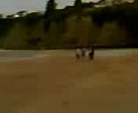 Me at North Shore Beach