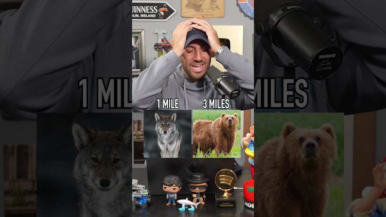 Animal Can SMELL HUMANS