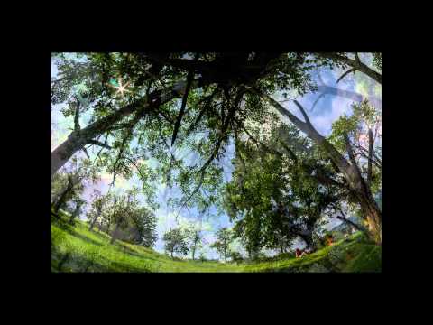 Descoperind Dognecea