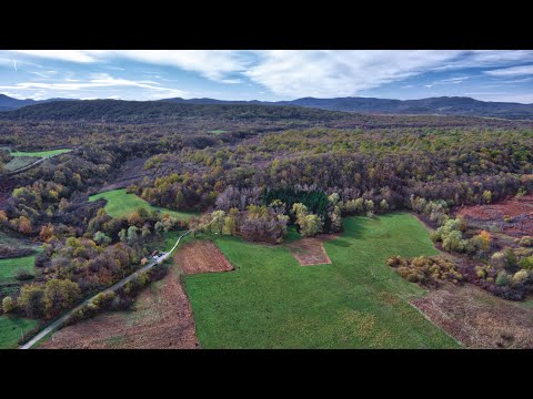 Sanitarna sječa stabala smreke na izletištu Značajnog krajobraza Baraćeve špilje
