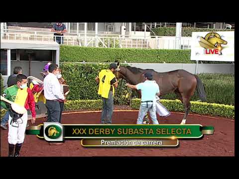 XXX Derby Subasta Selecta