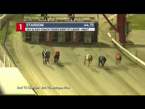 2019 KENT ST LEGER - HEAT 1 - T1 STARDOM