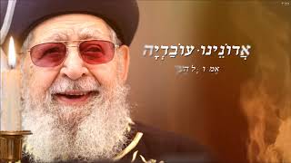 אבי בן ישראל - ואמרו כל העדה : "אדוננו עובדיה"