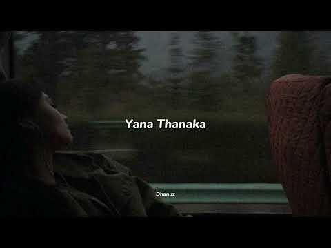 Yana Thanaka (slowed+reverb)