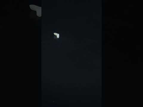 YouTube 썸네일