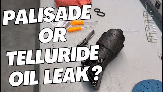 Hyundai Palisade or Kia Telluride Oil Leak Repair: DIY Guide to Save Money