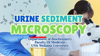 Urine Sediment Microscopy | Step-by-Step Demonstration