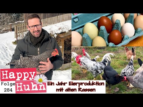 , title : 'Ein Jahr Eierproduktion mit alten Hühnerrassen - Ein Fazit - HAPPY HUHN Folge 283 - Hühner für Eier'