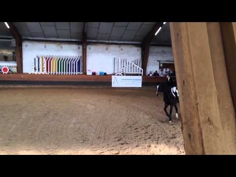 Manuela Kisse on horse Caspian MNM A**