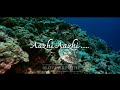 Boomi Boomi From Ccv WhatsApp Status
