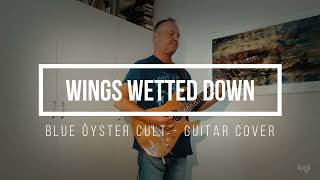 Wings Wetted Down by Blue Oyster Cult - guitar cover