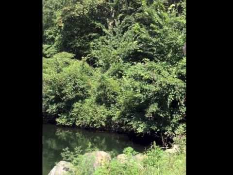 "Stay" Rihanna Gabriel Bg cover