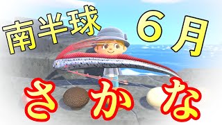 リュウグウノツカイこそ幻のサカナ【あつまれどうぶつの森】