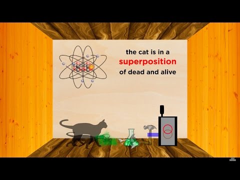 The Heisenberg Uncertainty Principle Part 1: Position/Momentum and Schrödinger's Cat