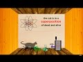 The Heisenberg Uncertainty Principle Part 1: Position/Momentum and Schrödinger's Cat