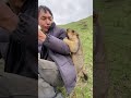 His Marmot Friends 🦫