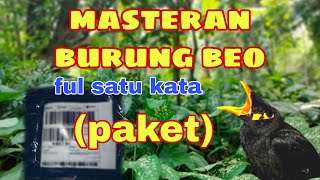 Download lagu Masteran burung beo_ful satu kata_paket mp3