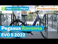 Pegasus Ravenna EVO 5 2022