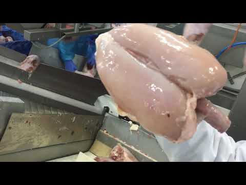 TÜM GÖĞÜS DERİ YÜZÜCÜ