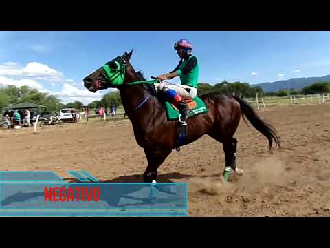 hip . El Quebrachal ( Siviski)