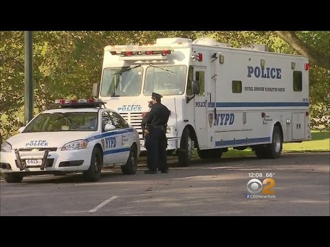 Central Park Attempted Rape Arrest