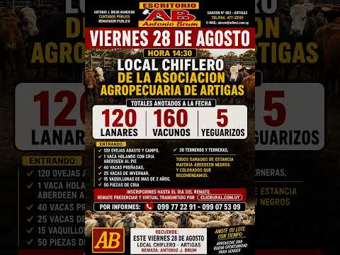 28/08/2026 - Local Chiflero - Artigas - Feria Mensual - Antonio J Brum