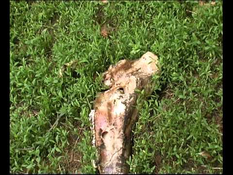 Ostatni mieszkaniec stolicy świata - making off 10 wierszalin