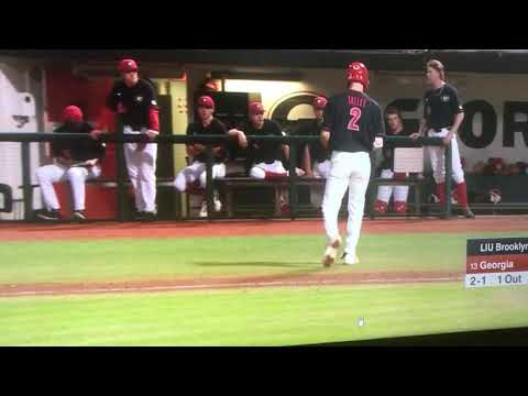 Liu Brooklyn Baseball at Georgia