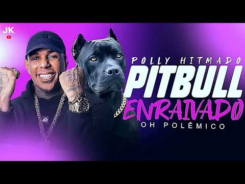 PITBULL ENRAIVADO - OH POLÊMICO