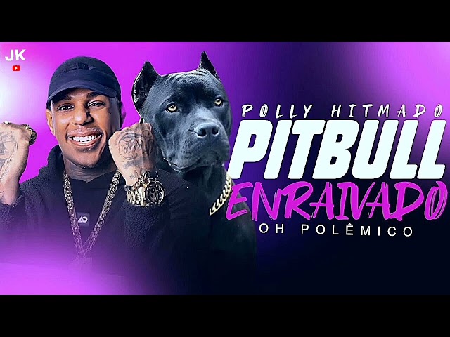 Download Oh Polêmico – Pitbull Enraivado