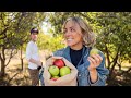 Apple Picking In Southern California Life As Airbnb Hosts