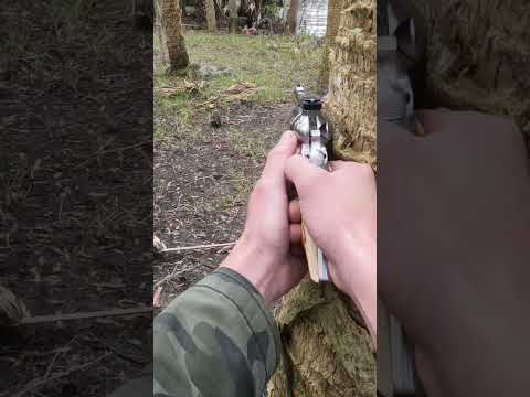 Blasting wild pig with .44 magnum