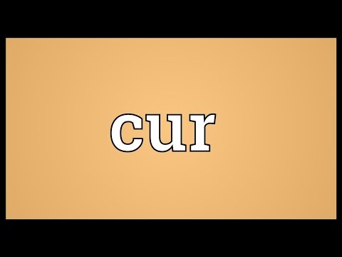 Cur Meaning