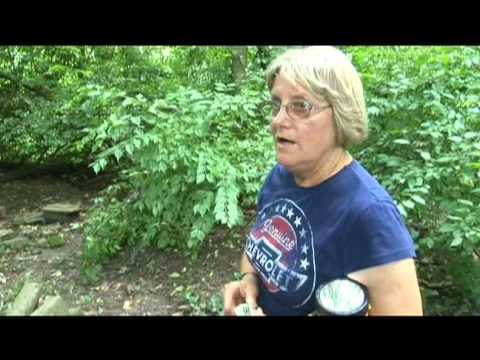 McPike Mansion Video 2