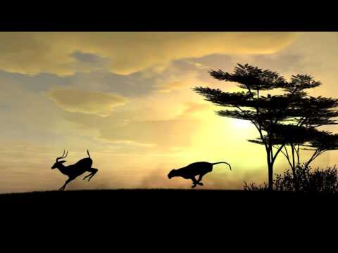 Fracx - For the World (DnB edit)